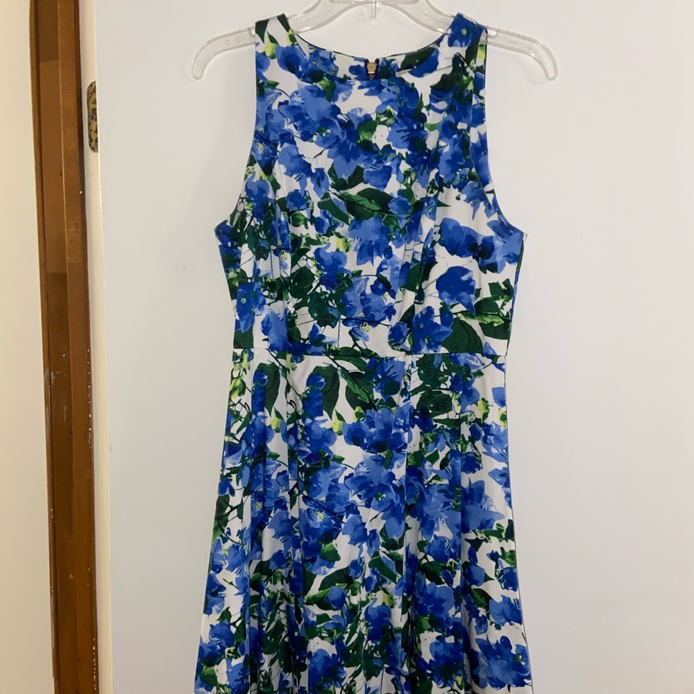 Sz 6 blue floral Milly dress